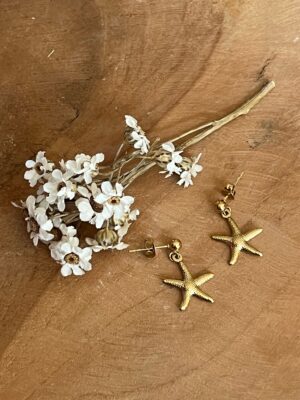 Boucles d'oreilles méra dorées