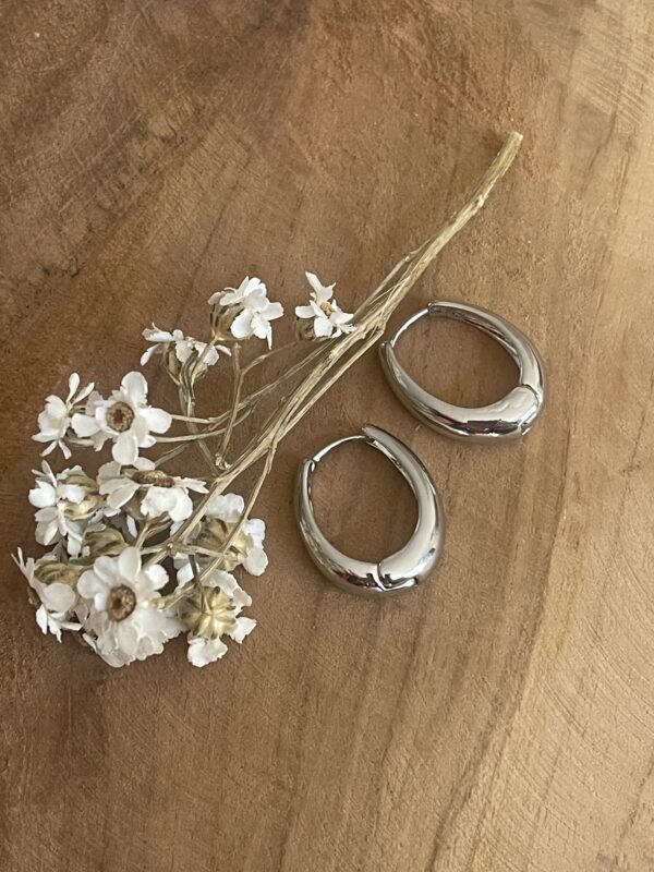Boucles d'oreilles Lovia argentées