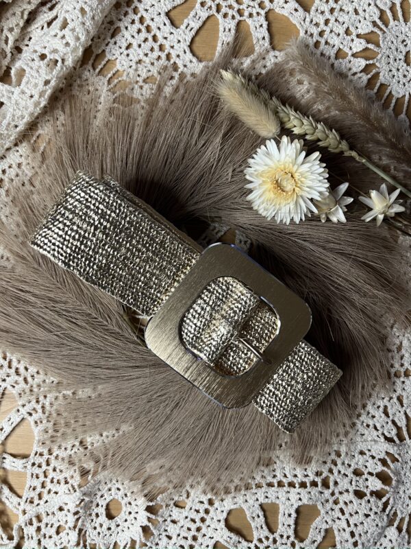 Ceinture Nina dorée – Image 2